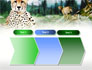 Gepard Free slide 16