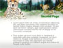Gepard Free slide 2