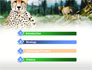 Gepard Free slide 3