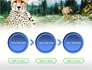 Gepard Free slide 5