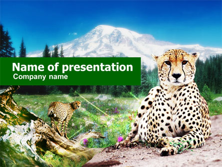 Gepard Free Presentation Template, Master Slide