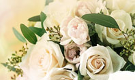 Tea Roses Wedding Bouquet Presentation Template