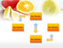 Citrus Segments slide 4