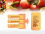 Tomato Farming slide 11