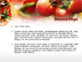 Tomato Farming slide 2