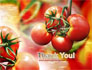 Tomato Farming slide 20