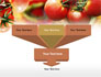 Tomato Farming slide 3