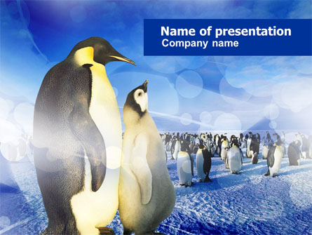 Penguins Presentation Template, Master Slide