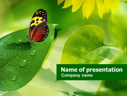 Butterfly On The Leaf Presentation Template, Master Slide