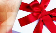 Gift Wrapping Presentation Template