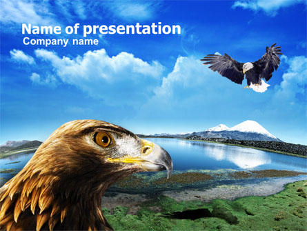 Eagles Presentation Template, Master Slide