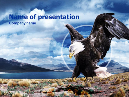 North American Eagle Presentation Template, Master Slide