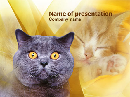 Blue Cat Presentation Template, Master Slide