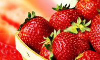 Strawberry Farming Presentation Template