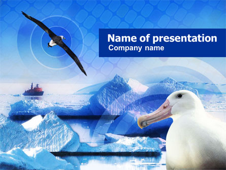 Polar Gull Presentation Template, Master Slide