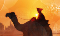 Camel Riding Presentation Template