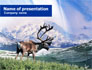 Alaska Elk slide 1