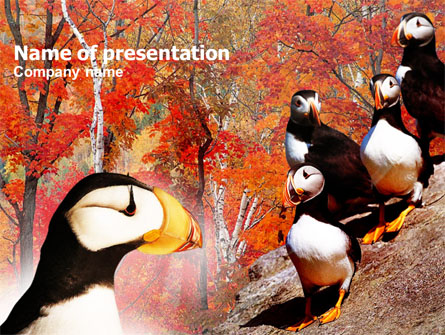 Ornithology Presentation Template, Master Slide