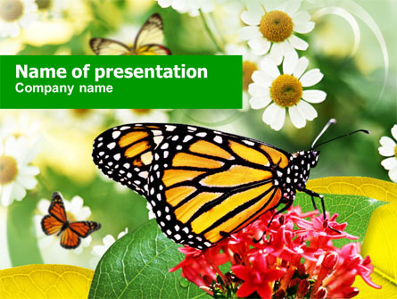 Machaon Butterfly Presentation Template, Master Slide