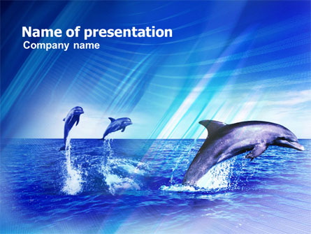 Dolphins Presentation Template, Master Slide