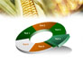Maize slide 19