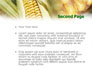 Maize slide 2