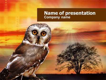 Owl Presentation Template, Master Slide