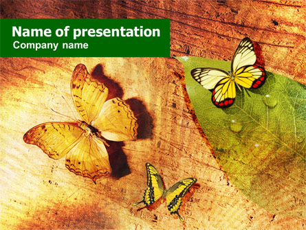 Butterflies On A Wood Presentation Template, Master Slide