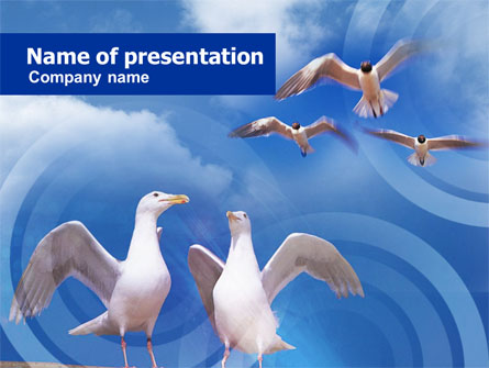 Seagull Presentation Template, Master Slide