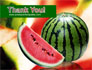 Watermelon slide 20