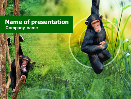 Apes Presentation Template, Master Slide
