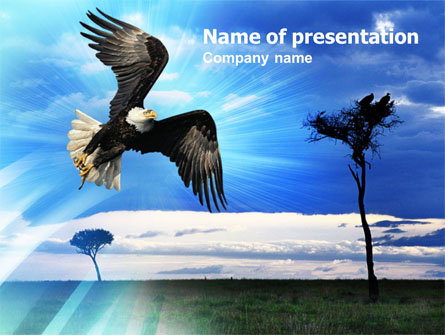 Bald Eagle Presentation Template, Master Slide