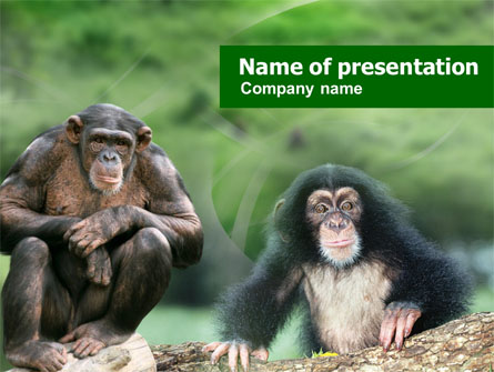 Baby Ape Presentation Template, Master Slide