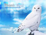 White Owl slide 20