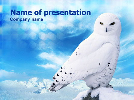 White Owl Presentation Template, Master Slide