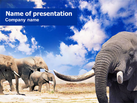 Elephants Presentation Template, Master Slide