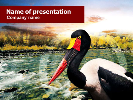 Saddle-billed Stork Free Presentation Template, Master Slide