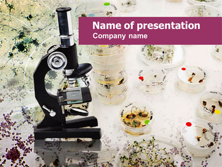 Bacterium Breeding Presentation Template, Master Slide