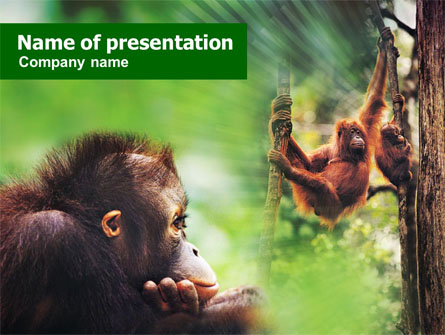 Orangutan Presentation Template, Master Slide