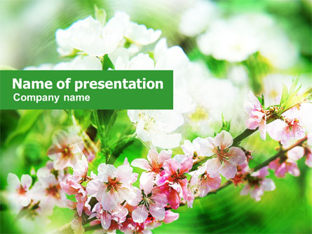 Blooming Cherry Tree Presentation Template, Master Slide