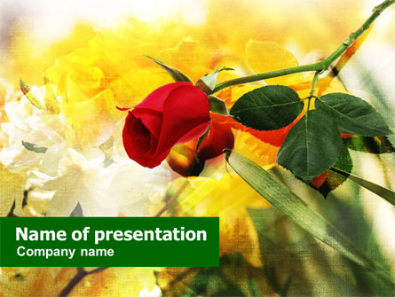 Red Rose Presentation Template, Master Slide