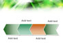 Green Abstract Theme slide 16
