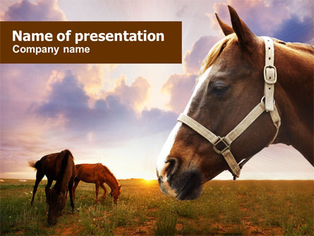 Horses Presentation Template, Master Slide