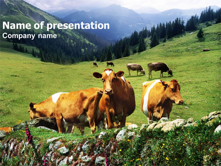 Cows on the Meadow Presentation Template, Master Slide
