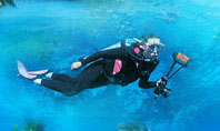Scuba Diver Presentation Template
