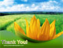 Sunflower In Green slide 20