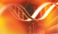 DNA genetics Presentation Template