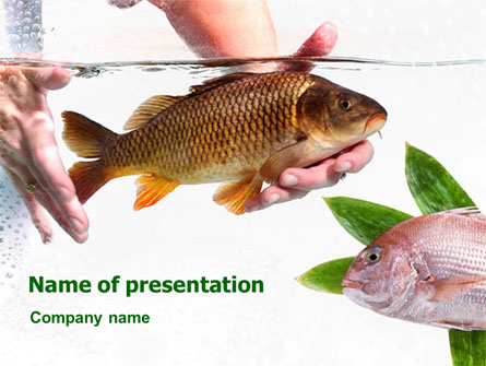 Fish in Water Presentation Template, Master Slide
