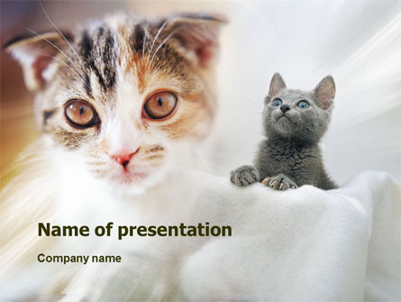 Cats Presentation Template, Master Slide