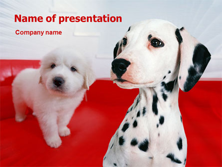 Dalmatian Presentation Template, Master Slide